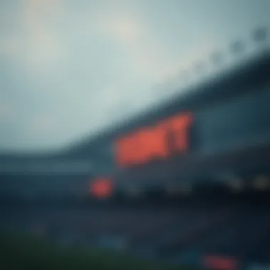 Magnificent 1xbet 한국: 국내 온라인 베팅 현황 및 전략