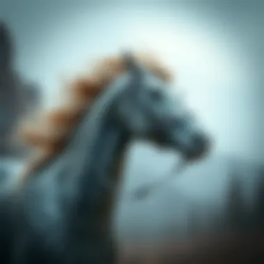 Magnificent 최고의 라이브 딜러 카지노 탐구 Magnificent 최고의 라이브 딜러 카지노 탐구