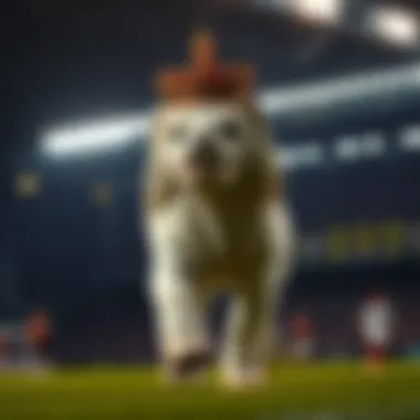 Magnificent 축구 승부 예측의 심층 분석