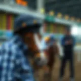 Analysis of betting odds for the Kentucky Derby