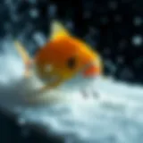 Neosurf: 디지털 결제의 새로운 장 Introduction