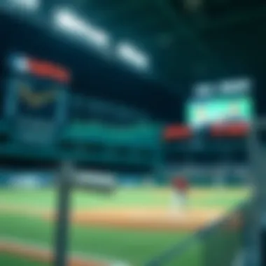 Data analytics tools used for evaluating player performance in NPB.