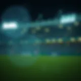 스포츠 베팅의 세계: 전략, 트렌드 및 팁 Introduction