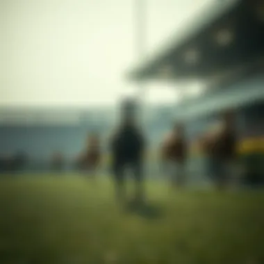 신뢰할 수 있는 베팅 사이트 분석 Summary